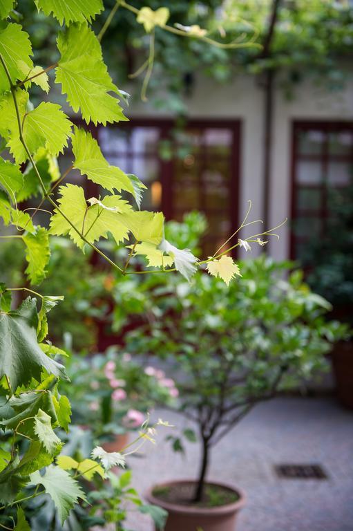 Casa Ganci Guest house